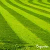 Topdressing Trawników – Mieszanka z Mykoryzą i Podgląd zdjęcia produktu 11