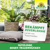 Neudorff SF Nematoden gegen Trauermücken - 5 Mio - für 50 Produktbild-Vorschau 7