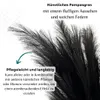 LAYBA Künstliches Pampasgras 3er-Set Schwarz 100 cm, 18 Produktbild-Vorschau 5