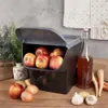 A kitchen counter scene with a storage bin filled with apples, alongside other produce and a bottle of liquid. Anteprima dell’immagine prodotto