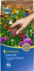 Kiepenkerl Saatgut Blumen-Wiese ca. 100 qm Produktbild-Vorschau 2