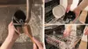 Bosch MUZS68VL, Súprava príslušenstva, Čierna, Priehľadná, Náhľad obrázku produktu 9