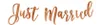 Banner Girlande Hochzeit, Motive:Just Married / rosegold Produktbild-Vorschau 5