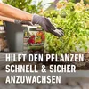 COMPO AGROSIL Wurzel-Turbo 0,05 kg Produktbild-Vorschau 8