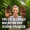 COMPOAnzucht- und Kräutererde torffrei - 5 Liter Produktbild-Vorschau 8