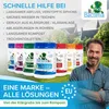 Aktivator Mr.Bacteria No.1, für Klärgruben und Senkgruben, Produktbild-Vorschau 7