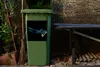 MuchoWow® Mülltonnenaufkleber Vogel - Federn - Zweig - Produktbild-Vorschau 5