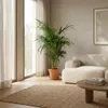 Howea Forsteriana, Kentia Palme, Zimmerpflanze, 120-130 cm, Produktbild-Vorschau 3
