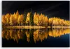 Obraz na płótnie Krajobraz Las Natura Złoty 120x80 Feeby Podgląd zdjęcia produktu 3