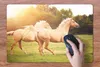 MuchoWow® Schreibtischunterlage Pferde - Gras - Sonne 60x40 Produktbild-Vorschau 3
