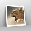 Poster - Poster ohne Rahmen - Löwe Löwin Reißzähne - 60x60 Produktbild-Vorschau 7