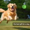 A golden retriever dog is jumping in the air to catch a green ball in a grassy park. Náhled obrázku produktu