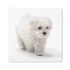 MuchoWow® Mauspad Mousepad Niedlicher kleiner Malteserhund Produktbild-Vorschau 1