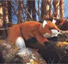 Folkmanis Handpuppe Fuchs 37 cm Produktbild-Vorschau 6
