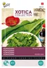 Graines de Buzzy Xotica Komatsuna Mustard Spinach - Environ Voir les images du produit 2