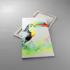 Bild auf Leinwand - Leinwandbild - Vogel Toucan Neugier Produktbild-Vorschau 2