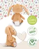 A collage of a plush bunny toy with accompanying marketing icons. Produktbild-Vorschau