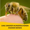 Deutscher Roher Honig – Frische Ernte 2025 aus NRW | Produktbild-Vorschau 7