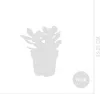 Bloomique - Crassula Ovata Magical Tree - Roślina Jadeitowa Podgląd zdjęcia produktu 7