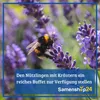 Mutterkraut |  Kräutersamen von Bingenheimer Saatgut Produktbild-Vorschau 7