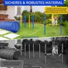 PawHut agility-trainingsapparatuur voor honden, Productafbeelding-voorbeeld 8