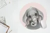 MuchoWow® Mauspad Mousepad Elefant - Rosa - Dschungel 50x50 Produktbild-Vorschau 5