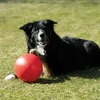 Schecker robuster Treibball aus Kunststoff in Gelb ca. 25 Produktbild-Vorschau 4