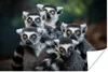 MuchoWow® Poster Affen - Tiere - Ringelschwanzlemuren 90x60 Produktbild-Vorschau 1