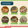 Lucky Reptile - Literie du désert Outback Rot - 20 litres Voir les images du produit 3