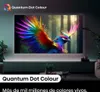 Hisense 55U6NQ 139 cm (55 Zoll) Fernseher 4K Mini LED ULED Produktbild-Vorschau 10
