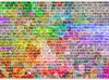 Selbstklebende Folie Fototapete - Rainbow Wall 245x175 cm Produktbild-Vorschau 5