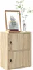 A small wooden cabinet with two doors, decorated with a framed picture and a vase with a plant on top. Náhled obrázku produktu