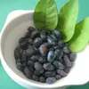 A white bowl filled with dark blue berries and green leaves on a green background. Náhled obrázku produktu