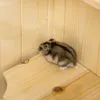 PawHut Kleintierkäfig 5 Etagen Gitterdach Kleintierstall Produktbild-Vorschau 9