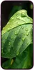 Apple iPhone 16 128GB Pink - 5G Smartphone mit A18 Chip Produktbild-Vorschau 14