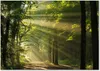 Tulup® Glas-Bild - 100 x 70 - Wandbild aus Glas - Wandkunst Produktbild-Vorschau 1