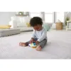 Fisher-Price Laugh & Learn HXC29, 0,5 rok/roky, Funkce Náhled obrázku produktu 15