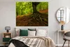MuchoWow® Poster Baum - Wald - Herbstblätter 160x120 cm - Produktbild-Vorschau 4