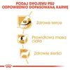 Royal Canin Cavalier King Charles Adult, Adult, Cavalier Produktbild-Vorschau 4