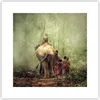 Poster - Poster ohne Rahmen - Elefant Dschungel Nebel - Produktbild-Vorschau 1