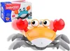 Utekajúci krab so zvukom Jokomisiada Náhľad obrázku produktu 10