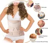 3-in-1 Bauchstütze, postpartal, Bauch-/Taillen-/Beckengurt Produktbild-Vorschau 3