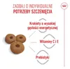 Pienso Royal Canin Maxi Starter Mutter & Babydo Aves 4 Kg Produktbild-Vorschau 5