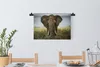 MuchoWow® Wandteppich Wandbehang Elefant - Tiere - Gras Produktbild-Vorschau 3