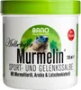 A product shot of a jar of Arlberger Murmelin Sport- und Gelenkssalbe. Produktbild-Vorschau