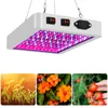 A collage showing a grow light and three images of plants at different stages of growth. Podgląd zdjęcia produktu