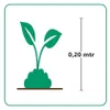 6 Pflanzen Bärenfellgras, Festuca gautieri, winterhart, 9 Produktbild-Vorschau 8