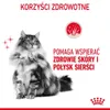 Royal Canin Hair & Skin 12x85g Nassfutter für ausgewachsene Produktbild-Vorschau 4