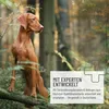 REAVET Barf Futteröl 1L Hunde, 1.Kaltpressung - Barföl, Produktbild-Vorschau 4