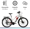 Zündapp Z810 E Bike Trekkingrad 28 Zoll antique white 50 cm Produktbild-Vorschau 4